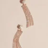 Crystal Fringe Sweep Earrings