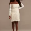 Long Sleeve Off Shoulder Stretch Lace Plus Dress