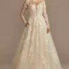 Lace Illusion Long Sleeve Ball Gown Wedding Dress