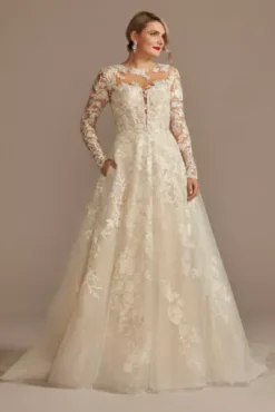 Lace Illusion Long Sleeve Ball Gown Wedding Dress