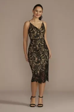 Illusion Lace V-Neck Midi Sheath Dress